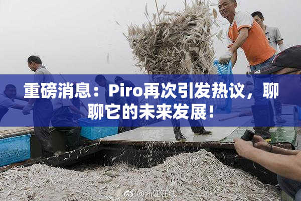 重磅消息：Piro再次引发热议，聊聊它的未来发展！