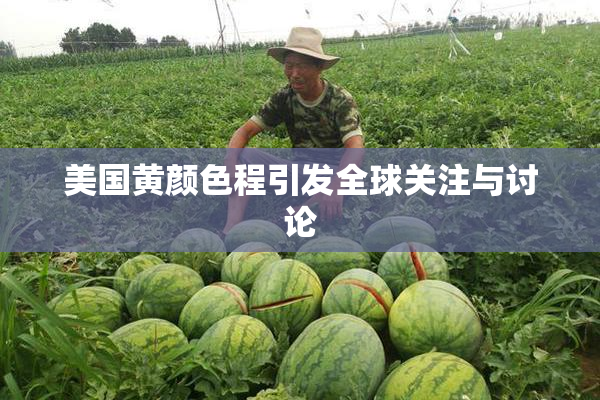 美国黄颜色程引发全球关注与讨论