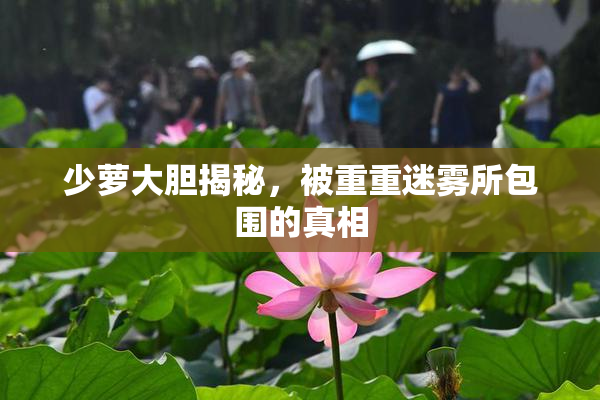 少萝大胆揭秘，被重重迷雾所包围的真相