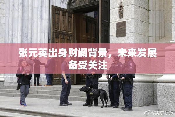 张元英出身财阀背景，未来发展备受关注