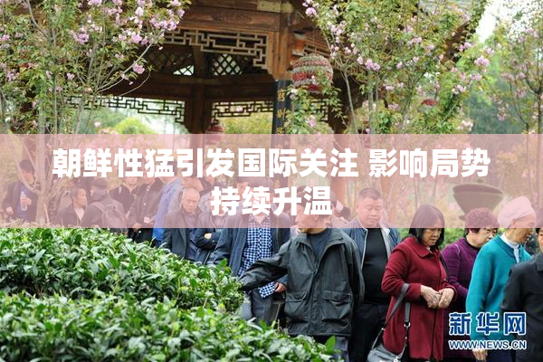 朝鲜性猛引发国际关注 影响局势持续升温