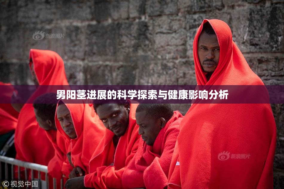 男阳茎进展的科学探索与健康影响分析
