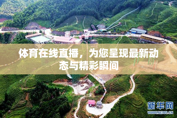 体育在线直播，为您呈现最新动态与精彩瞬间