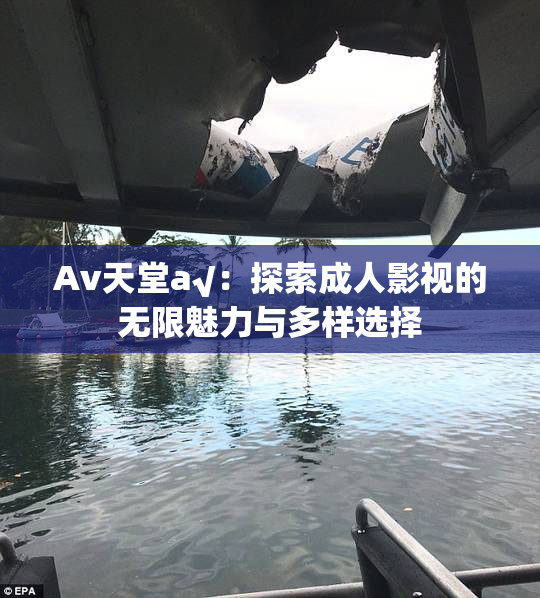 Av天堂a√：探索成人影视的无限魅力与多样选择