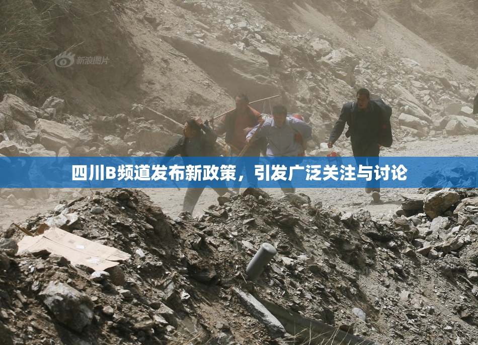 四川B频道发布新政策，引发广泛关注与讨论