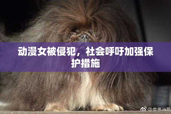 动漫女被侵犯，社会呼吁加强保护措施