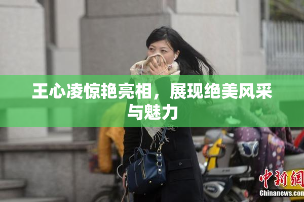 王心凌惊艳亮相，展现绝美风采与魅力