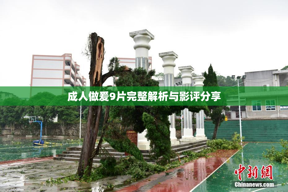 成人做爰9片完整解析与影评分享