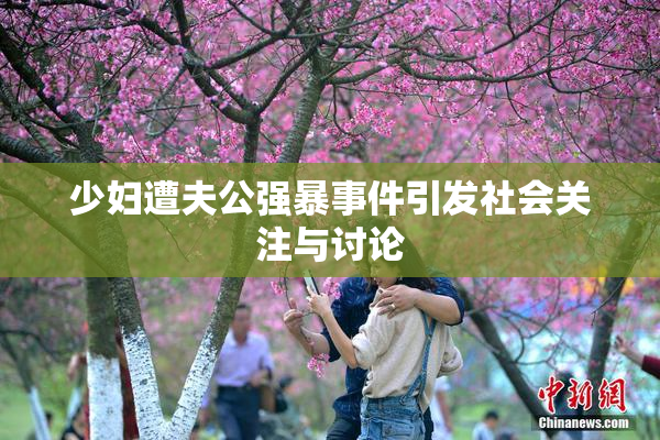 少妇遭夫公强暴事件引发社会关注与讨论