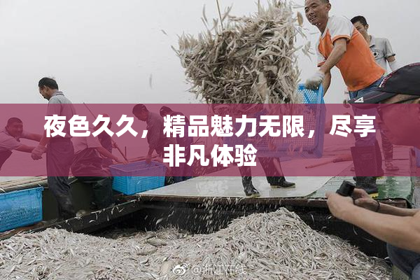 夜色久久，精品魅力无限，尽享非凡体验