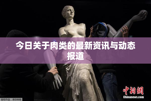 今日关于肉类的最新资讯与动态报道