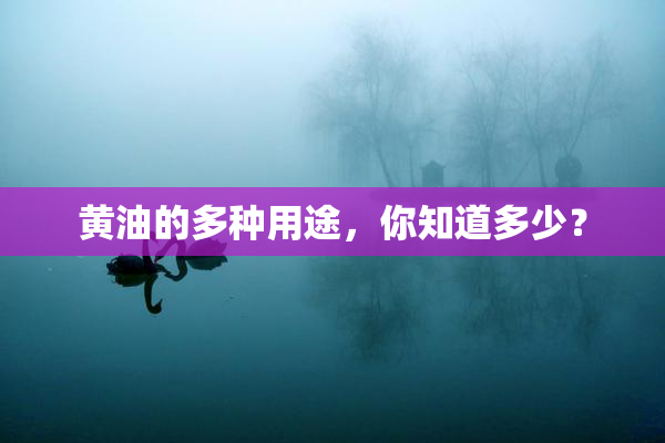 黄油的多种用途，你知道多少？