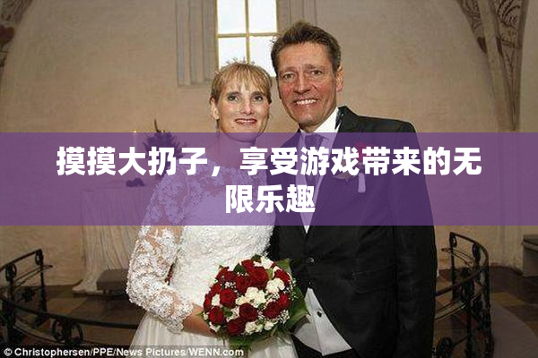 摸摸大扔子，享受游戏带来的无限乐趣