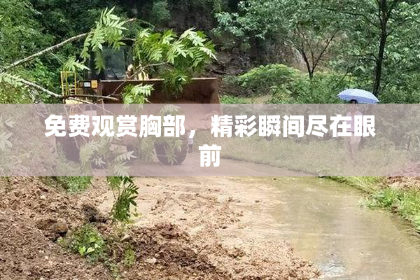 免费观赏胸部，精彩瞬间尽在眼前