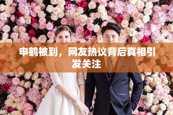 申鹤被到，网友热议背后真相引发关注