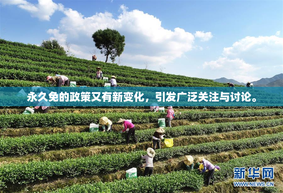 永久免的政策又有新变化，引发广泛关注与讨论。
