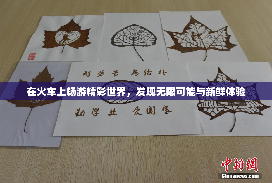 在火车上畅游精彩世界，发现无限可能与新鲜体验
