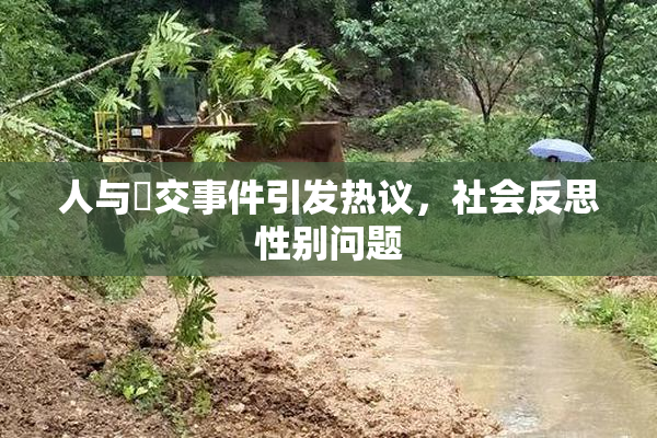 人与嘼交事件引发热议，社会反思性别问题