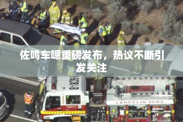 佐鸣车嗯重磅发布，热议不断引发关注