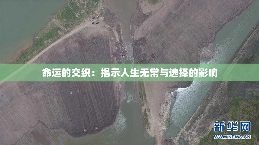 命运的交织：揭示人生无常与选择的影响