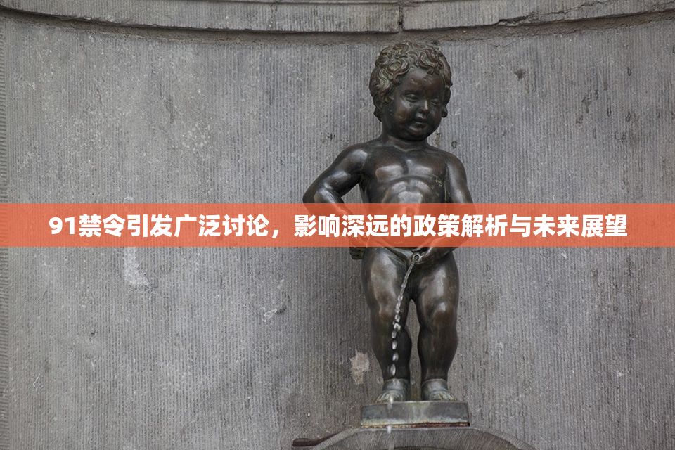 91禁令引发广泛讨论，影响深远的政策解析与未来展望
