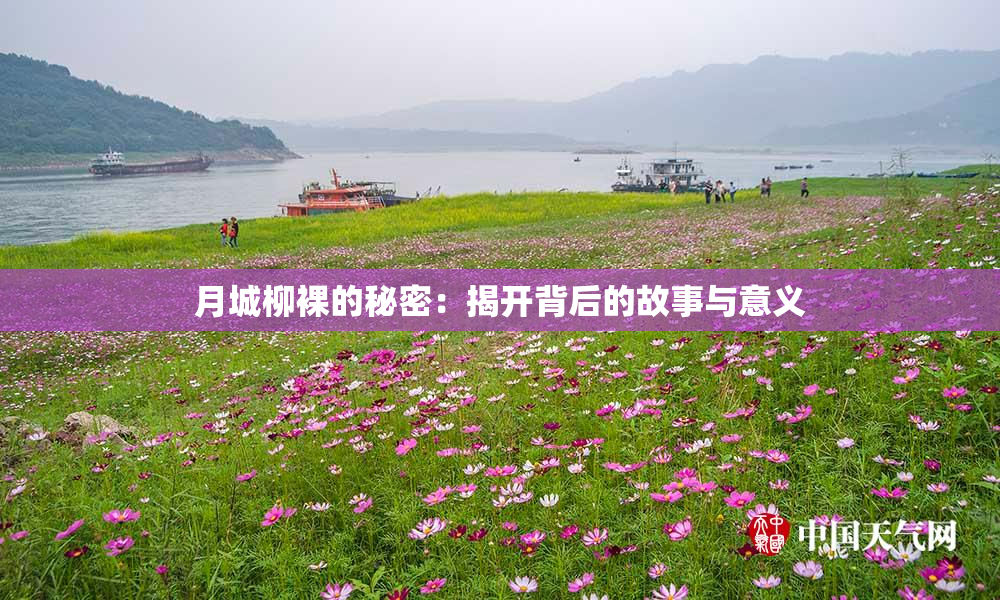 月城柳裸的秘密：揭开背后的故事与意义