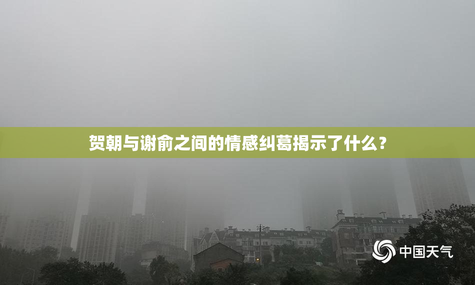 贺朝与谢俞之间的情感纠葛揭示了什么？