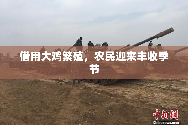 借用大鸡繁殖，农民迎来丰收季节