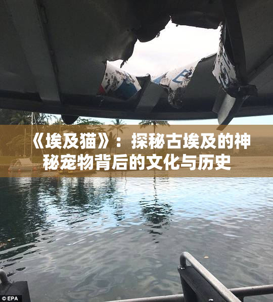 《埃及猫》：探秘古埃及的神秘宠物背后的文化与历史