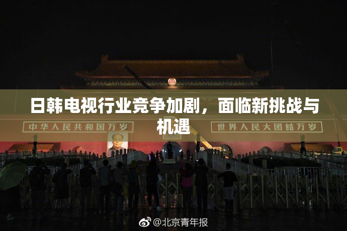 日韩电视行业竞争加剧，面临新挑战与机遇