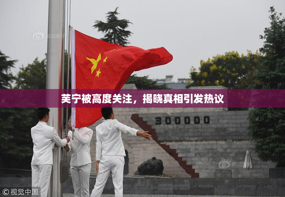 芙宁被高度关注，揭晓真相引发热议