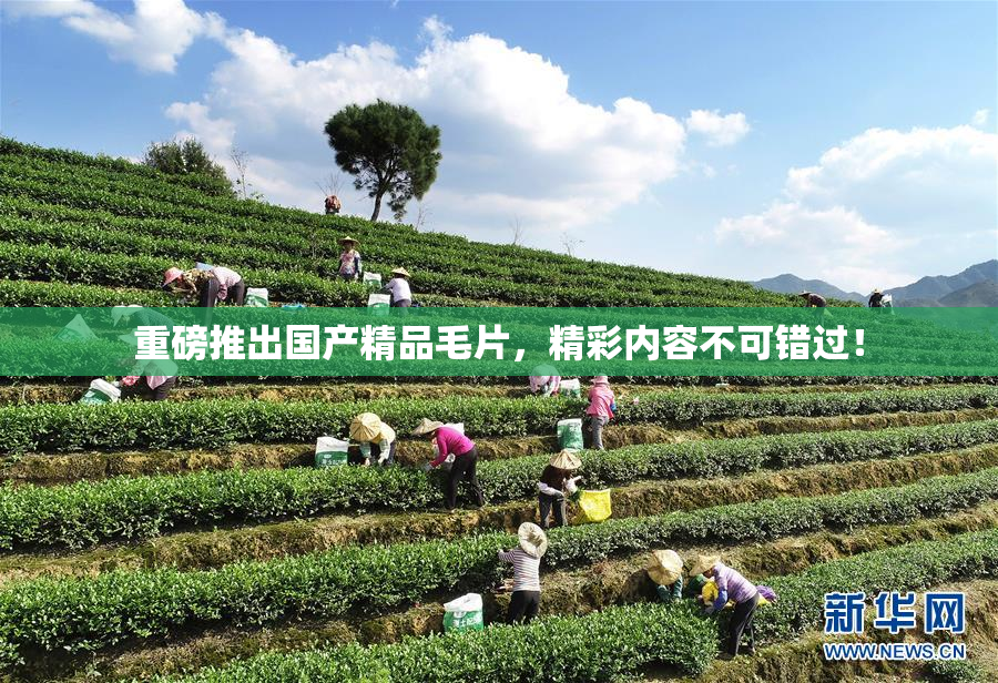 重磅推出国产精品毛片，精彩内容不可错过！
