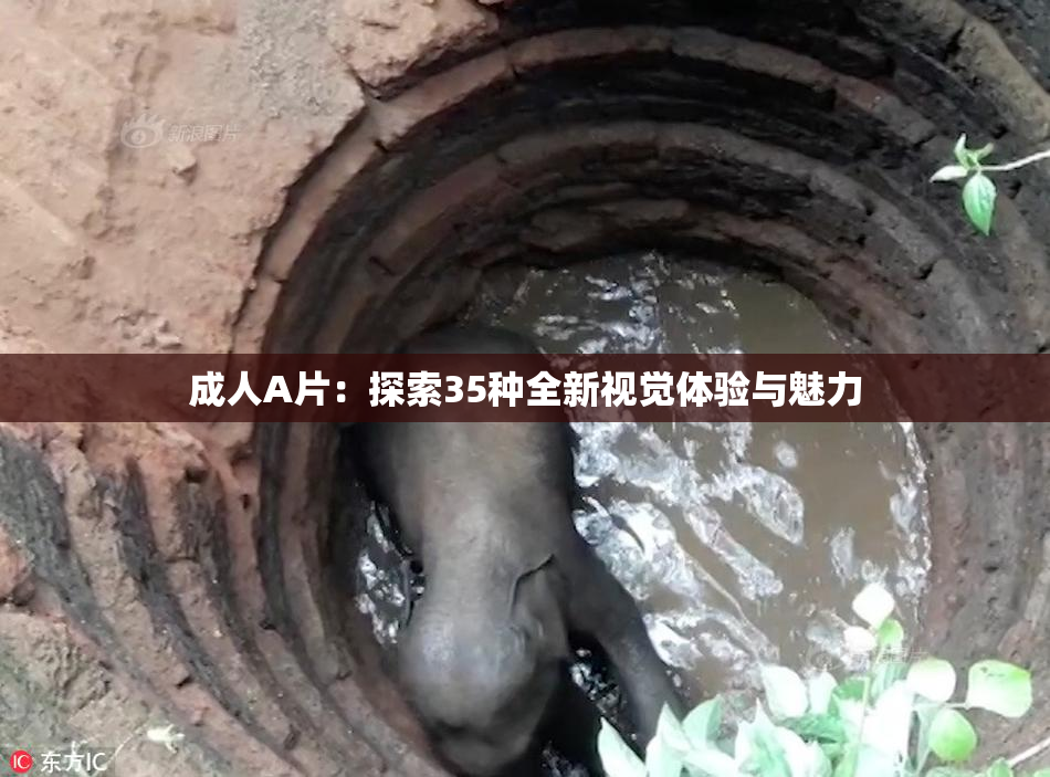 成人A片：探索35种全新视觉体验与魅力