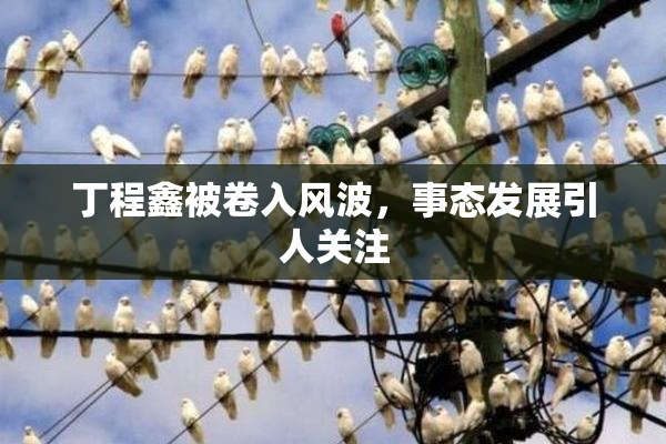 丁程鑫被卷入风波，事态发展引人关注