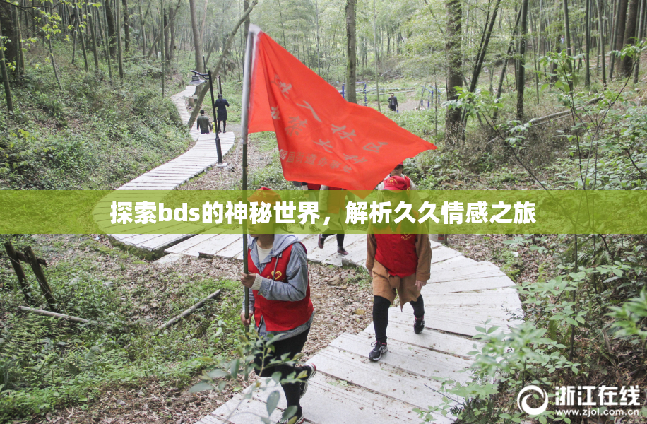 探索bds的神秘世界，解析久久情感之旅