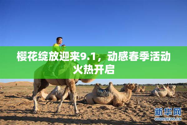 樱花绽放迎来9.1，动感春季活动火热开启