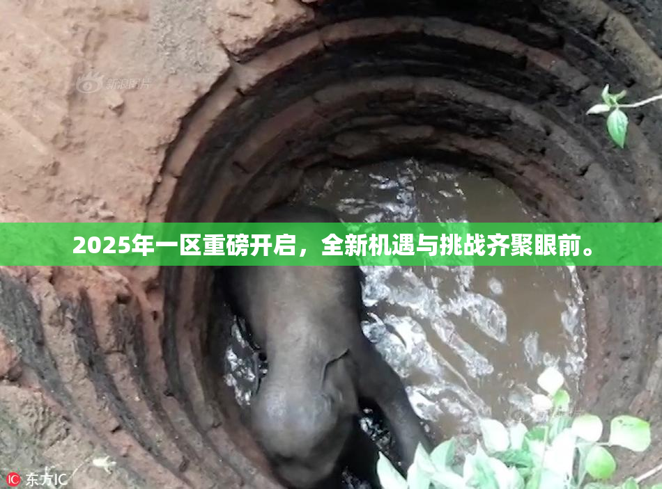2025年一区重磅开启，全新机遇与挑战齐聚眼前。