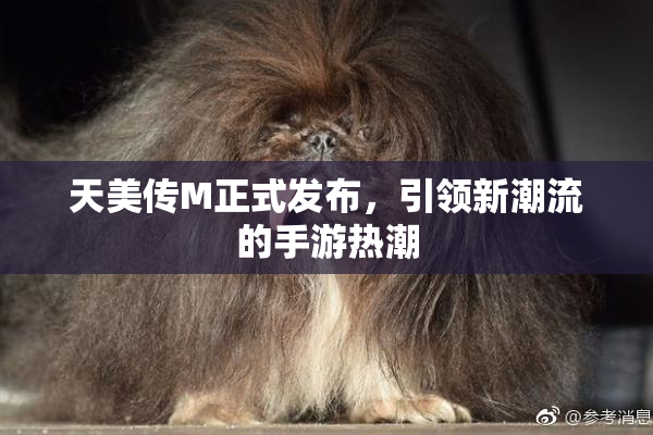 天美传M正式发布，引领新潮流的手游热潮