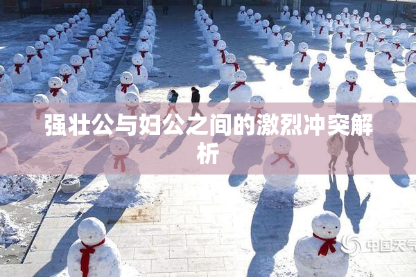 强壮公与妇公之间的激烈冲突解析