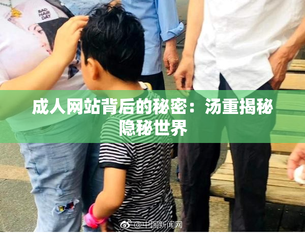 成人网站背后的秘密：汤重揭秘隐秘世界