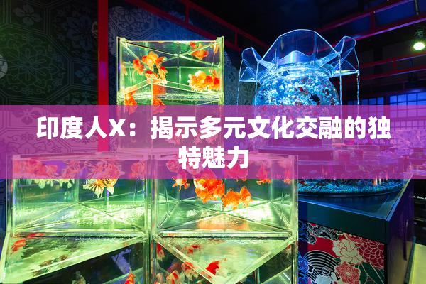 印度人X：揭示多元文化交融的独特魅力