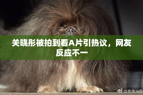 关晓彤被拍到看A片引热议，网友反应不一