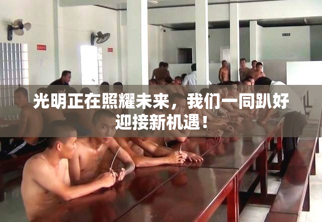 光明正在照耀未来，我们一同趴好迎接新机遇！
