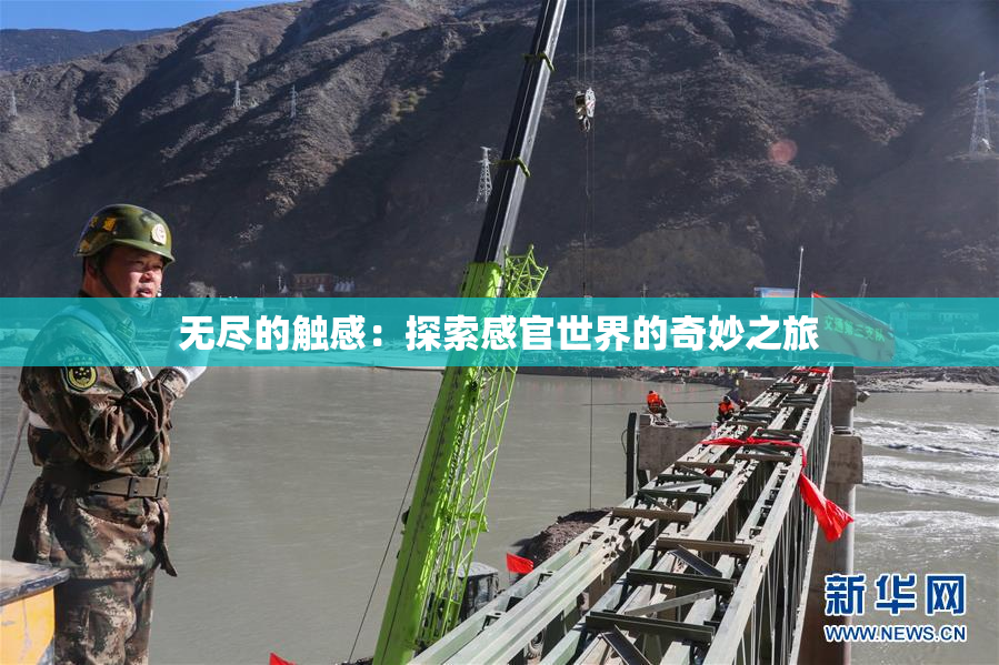 无尽的触感：探索感官世界的奇妙之旅