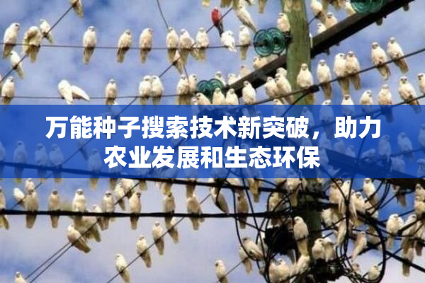 万能种子搜索技术新突破，助力农业发展和生态环保