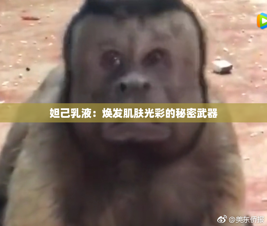 妲己乳液：焕发肌肤光彩的秘密武器