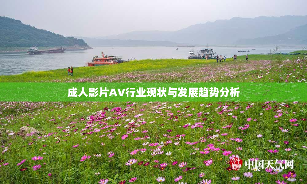 成人影片AV行业现状与发展趋势分析