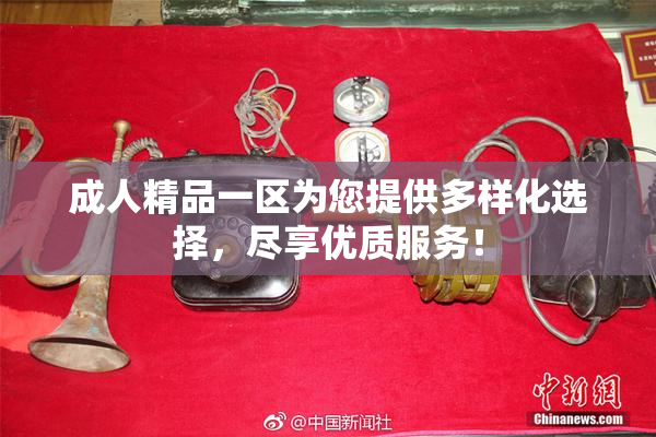 成人精品一区为您提供多样化选择，尽享优质服务！