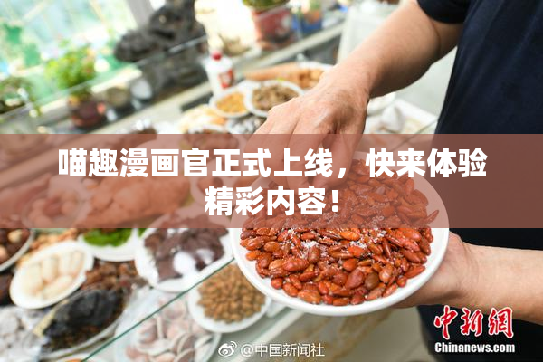 喵趣漫画官正式上线，快来体验精彩内容！