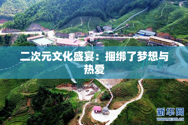 二次元文化盛宴：捆绑了梦想与热爱